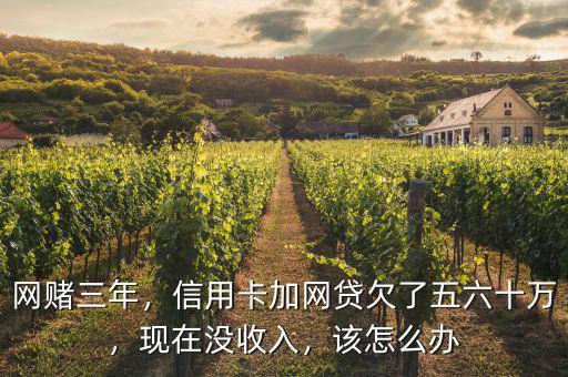 網(wǎng)賭三年，信用卡加網(wǎng)貸欠了五六十萬，現(xiàn)在沒收入，該怎么辦