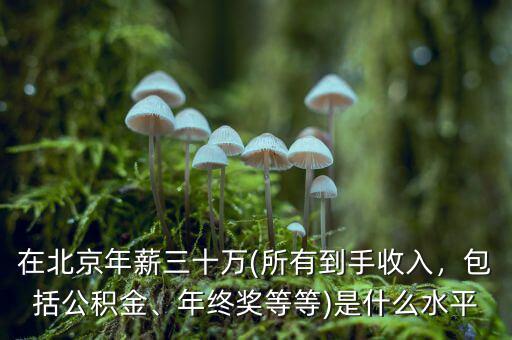 在北京年薪三十萬(所有到手收入，包括公積金、年終獎等等)是什么水平