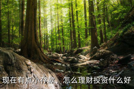現在有點小存款，怎么理財投資什么好