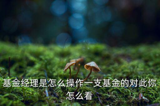 基金經理是怎么操作一支基金的對此你怎么看