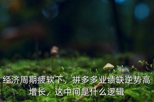 經濟周期疲軟下，拼多多業績缺逆勢高增長，這中間是什么邏輯