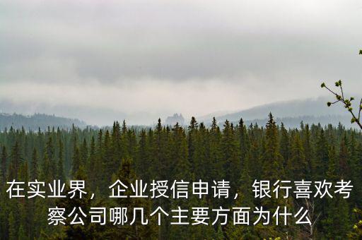 在實業界，企業授信申請，銀行喜歡考察公司哪幾個主要方面為什么