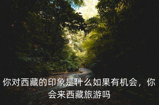 西藏有什么創業機遇,創業有什么好的項目