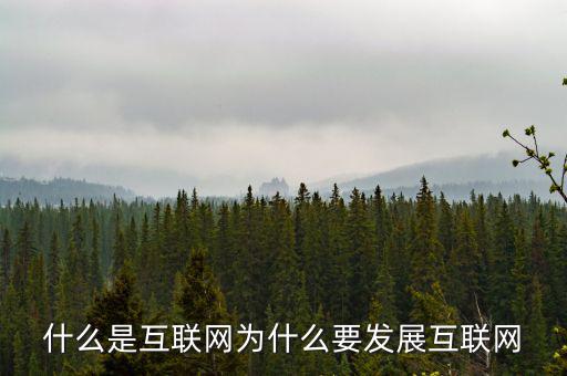 互聯網發展指數是什么,互聯網未來發展趨勢是什么