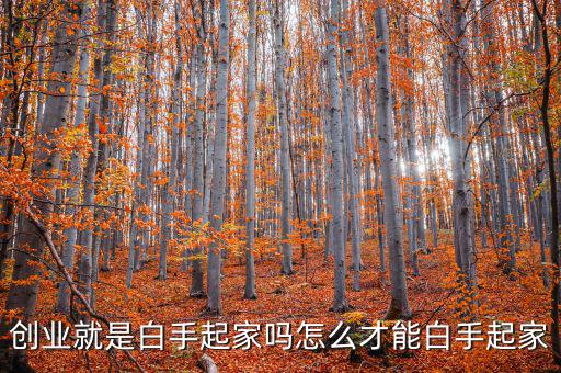 創業就是白手起家嗎怎么才能白手起家