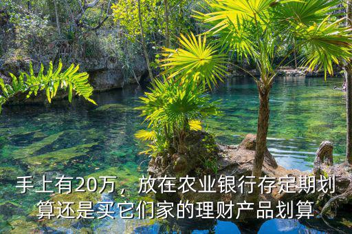 手上有20萬，放在農業銀行存定期劃算還是買它們家的理財產品劃算