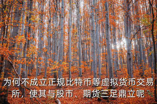 為何不成立正規(guī)比特幣等虛擬貨幣交易所，使其與股市、期貨三足鼎立呢