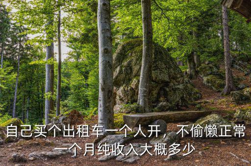 自己買個出租車一個人開，不偷懶正常一個月純收入大概多少