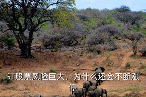 為什么會連續漲停,為什么還會不斷漲停