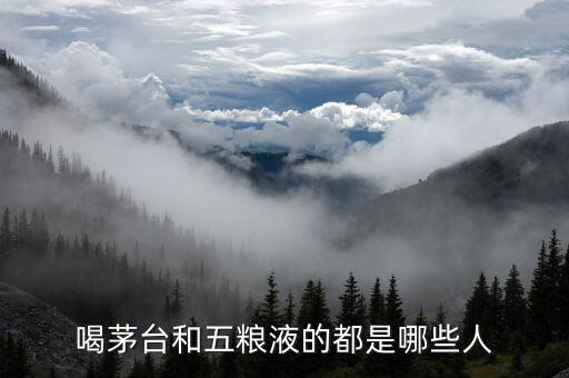 喝五糧液的人是什么身份,四川人喝五糧液的也不是多數