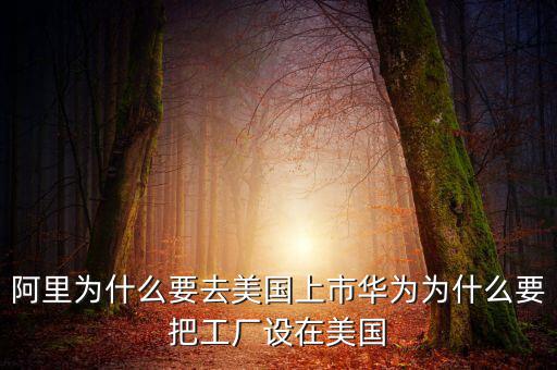 阿里為什么不是外國公司,為什么會被說成是外國企業呢