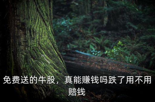 免費送的牛股，真能賺錢嗎跌了用不用賠錢