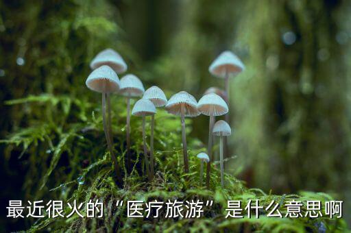 什么是醫療旅游,醫療旅游是什么內容