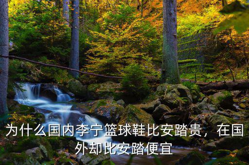 為什么國內李寧籃球鞋比安踏貴，在國外卻比安踏便宜