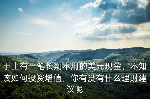 手上有一筆長期不用的美元現金，不知該如何投資增值，你有沒有什么理財建議呢