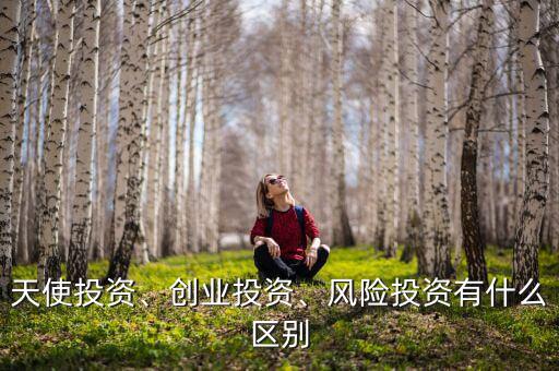 tmt投資是什么,風險投資有什么區別