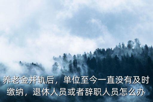 并軌后己退休怎么辦,養老金并軌后