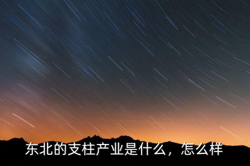 東北經濟怎么樣,東北的支柱產業是什么