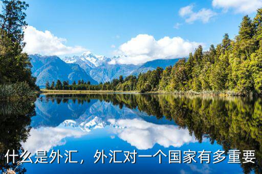 什么是外匯，外匯對一個國家有多重要