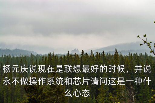 楊元慶說現在是聯想最好的時候，并說永不做操作系統和芯片請問這是一種什么心態