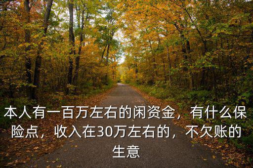 本人有一百萬左右的閑資金，有什么保險點，收入在30萬左右的，不欠賬的生意