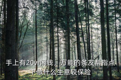 手上有20w閑錢，萬能的條友幫指點下做什么生意較保險