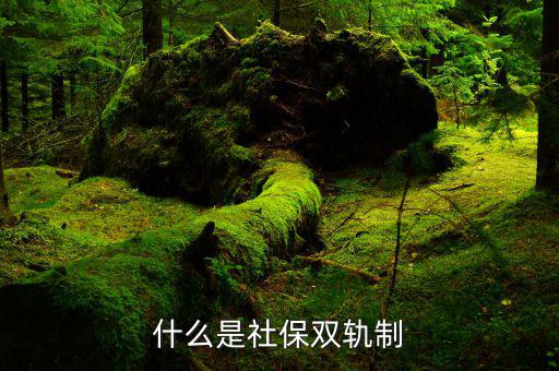 雙規制是什么意思養老金,什么是社保雙軌制