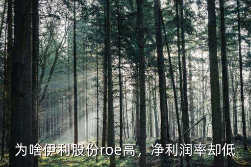 為啥伊利股份roe高，凈利潤率卻低