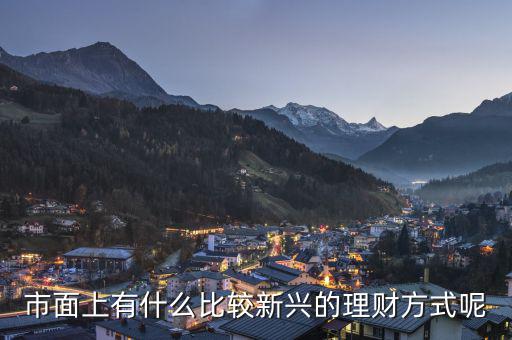 有什么新興產品投資,投資什么能最快得到回報