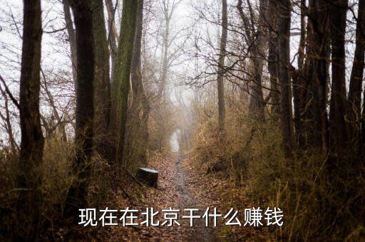 現在在北京干什么賺錢