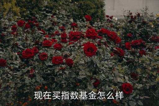 現在買指數基金怎么樣