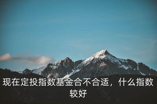 定什么指數基金好,現在定投指數基金合不合適