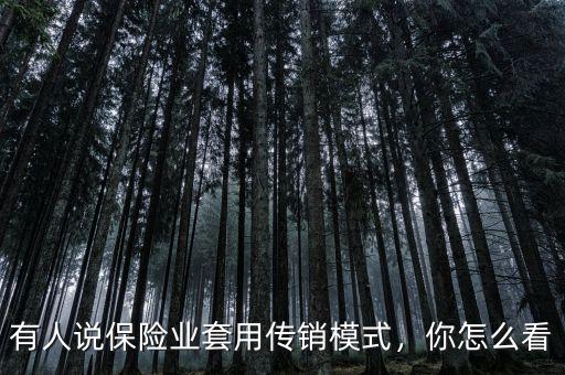 有人說保險業套用傳銷模式，你怎么看