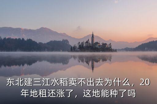 東北建三江水稻賣不出去為什么，20年地租還漲了，這地能種了嗎