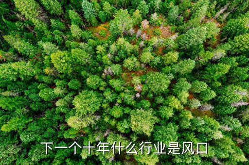 下一個十年什么行業是風口