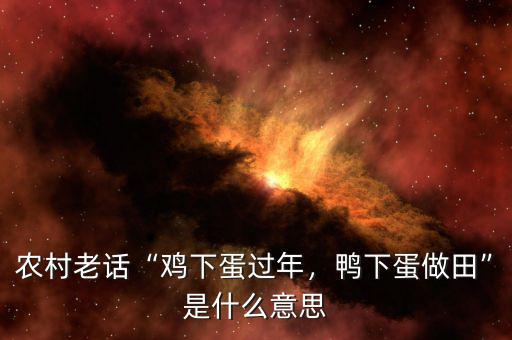 農村老話“雞下蛋過年，鴨下蛋做田”是什么意思