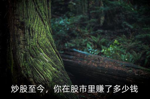 炒股至今，你在股市里賺了多少錢