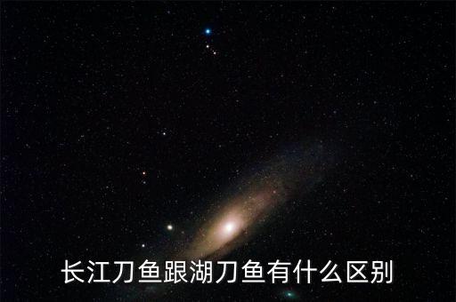 長江刀魚圖片多少一斤,長江刀魚跟湖刀魚有什么區別