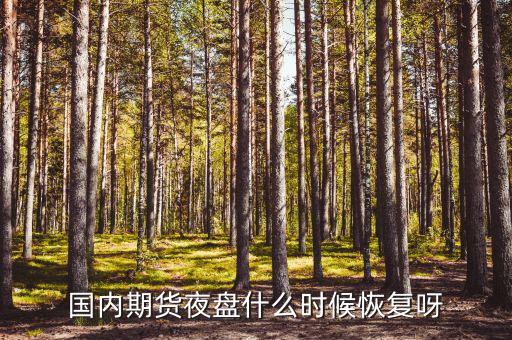 國內期貨夜盤什么時候恢復呀