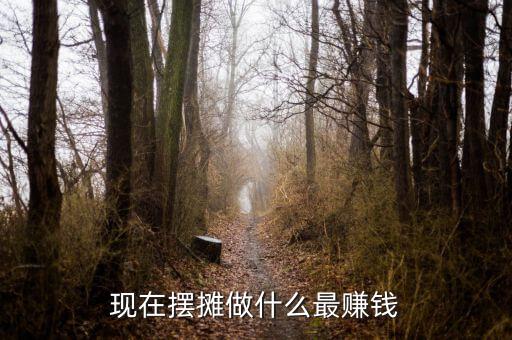 現在擺攤做什么最賺錢