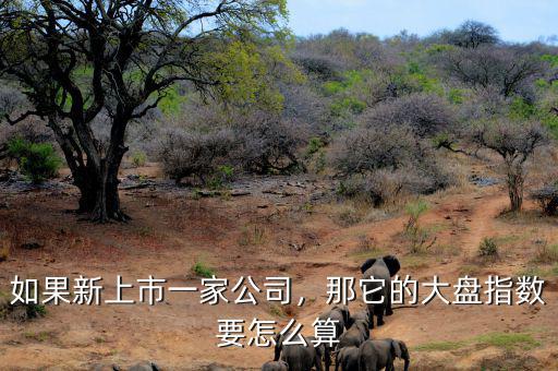 如果新上市一家公司，那它的大盤指數要怎么算