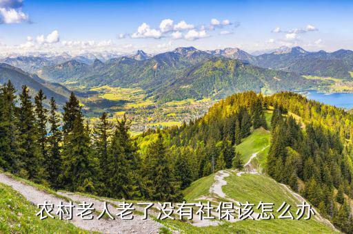 農村保險該怎么辦,農村沒交養老保險以后怎么辦