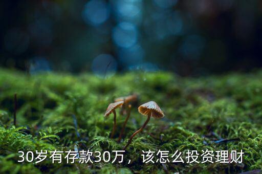 30歲有存款30萬，該怎么投資理財