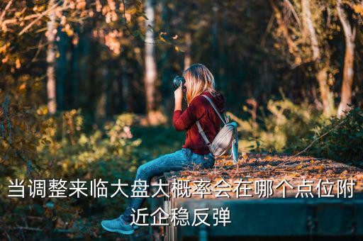 當調整來臨大盤大概率會在哪個點位附近企穩反彈