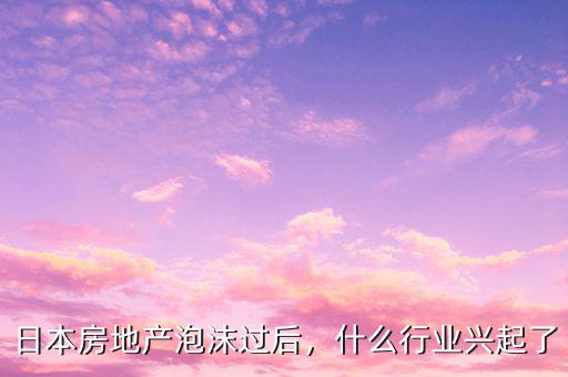 日本房地產泡沫過后，什么行業興起了