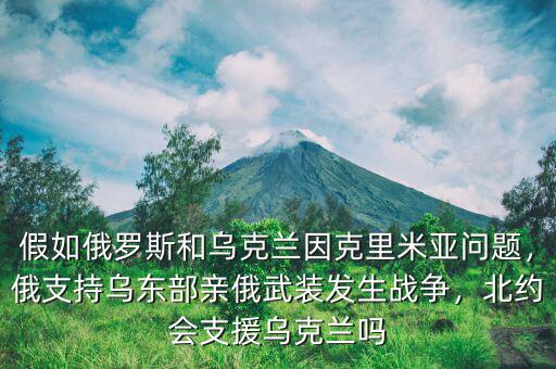 假如俄羅斯和烏克蘭因克里米亞問題，俄支持烏東部親俄武裝發生戰爭，北約會支援烏克蘭嗎