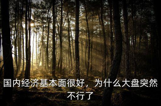 國內經濟基本面很好，為什么大盤突然不行了