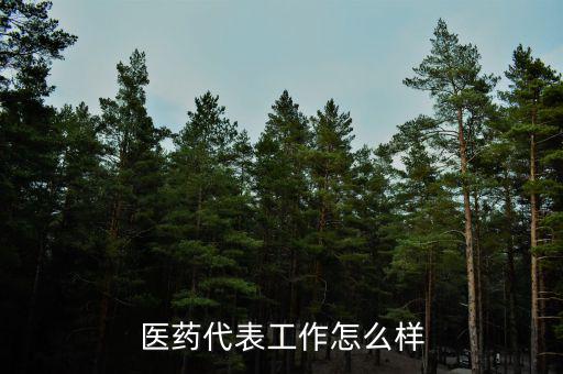 麗珠醫藥代表待遇怎么樣,醫藥代表這個行業怎么樣