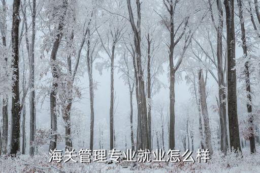 海關管理專業就業怎么樣