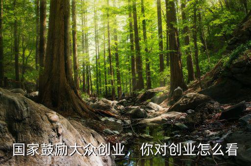 國家鼓勵大眾創業，你對創業怎么看